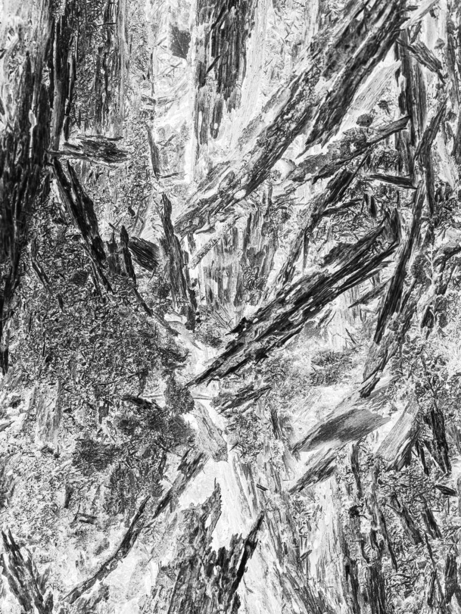 Abstraction