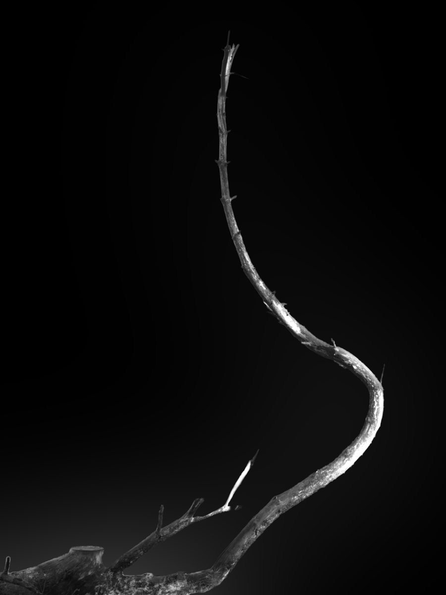 HeRi-20261014 0839