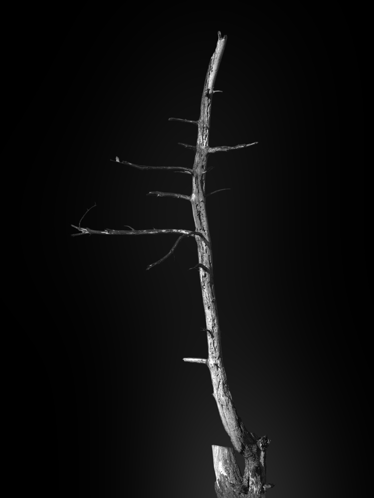 HeRi-20261014 0840