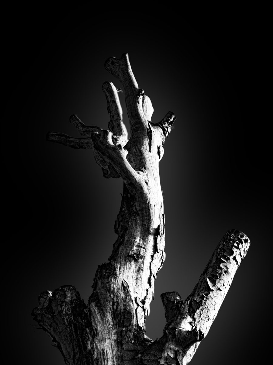 HeRi-20261014 0842
